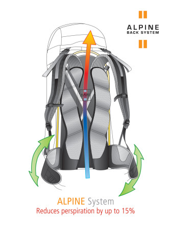 Back System