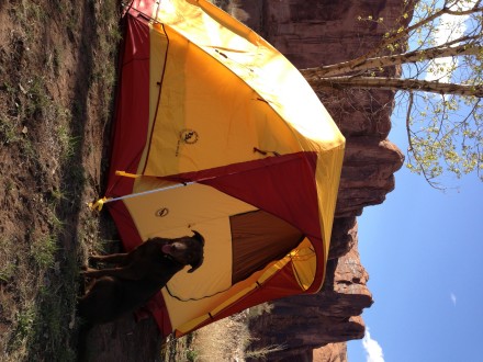 Kane Creek, Moab
