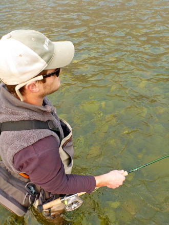 13'3'' 7 WT - Great Rod