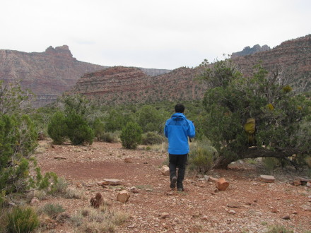 Paul might be right, here's a pic a friend took of me with my Beta AR from the back. Again, I'm 5'6"