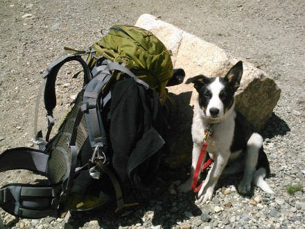 Great pack that needs a little work