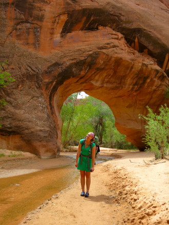 The PERFECT Backpack/Travel dress