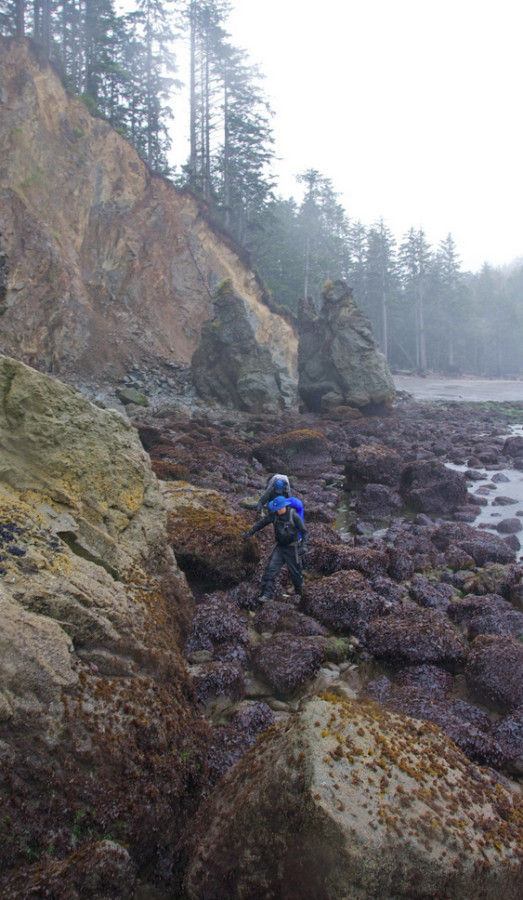 Low Tide at Olympic. 