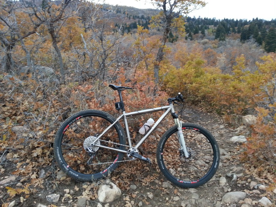 Merlin XLM 29 Titanium Mountain Bike Frame Competitive Cyclist