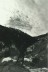 ronp46239