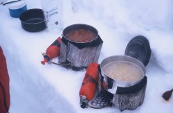 2 stoves 21 days no hassles