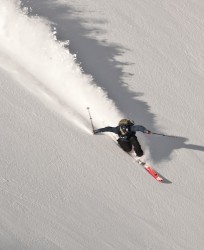 Justice shredding in JPan