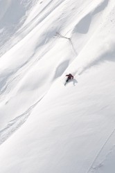 Zealots shredding Japanese pow
