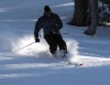 early season at alta