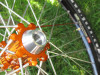 www.geax.com