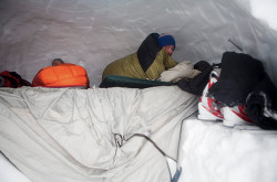 Life in the cave