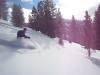 NorthStar - White Rabbit