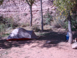 Fury in Moab