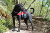 Emma is ready to hit the trail.