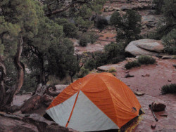 Stands up to Canyonlands Rain Well