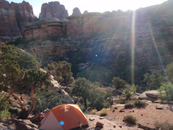 Picture Perfect Tent
