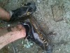 great all around shoes