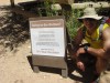 Vector in the Grand Canyon in July