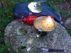 MSR WhisperLite