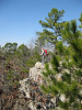 Lookout