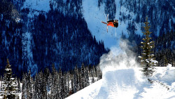 Tanner Hall