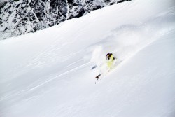 Delirium in Action