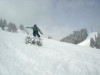 Burton Primo
