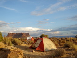 white rim trail!