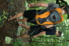 Descent