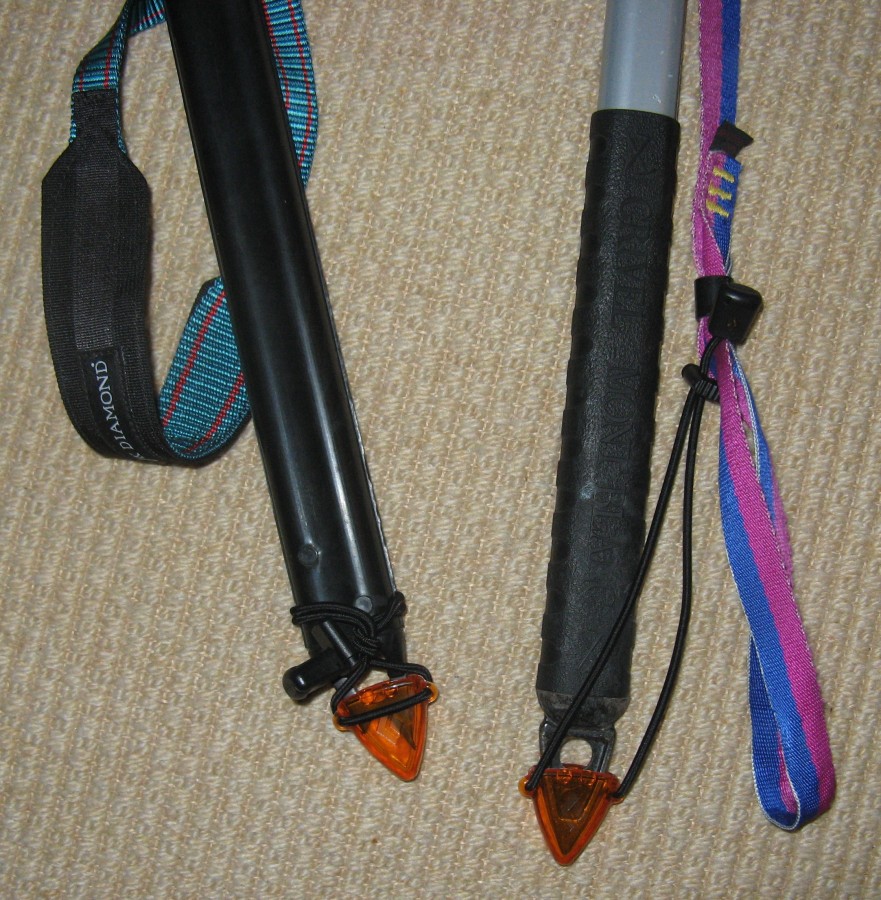 Black Diamond Spike Protector