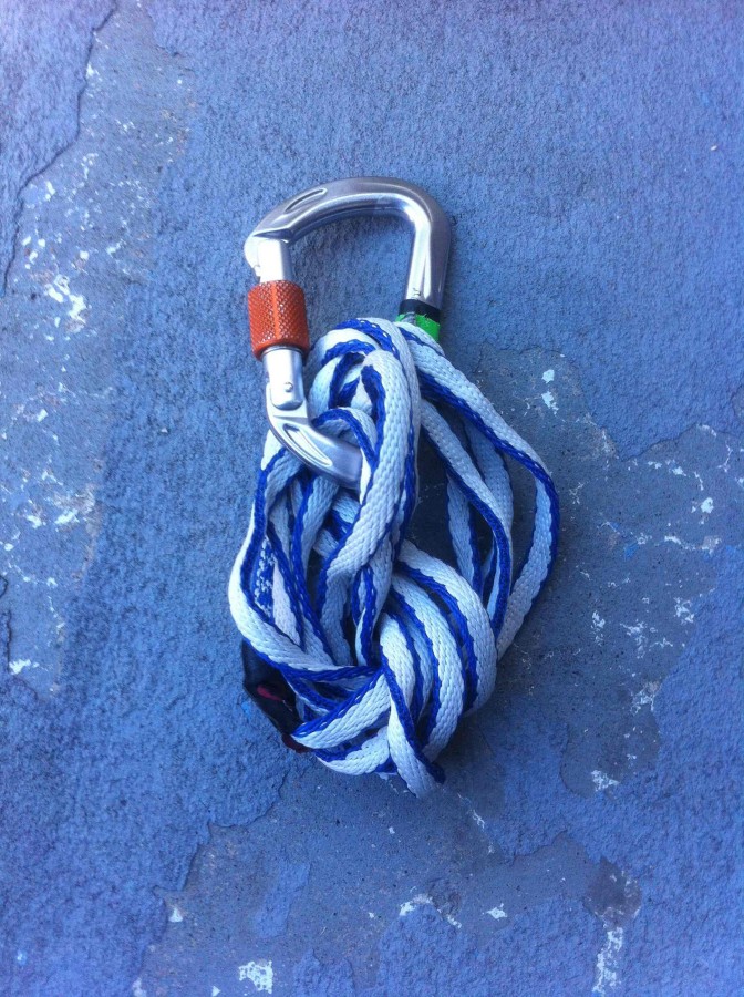 Mammut Wall Micro Locking Carabiner