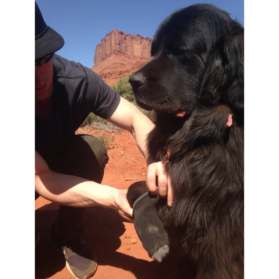 Ruffwear Bark'n Boot Liners Set of 4