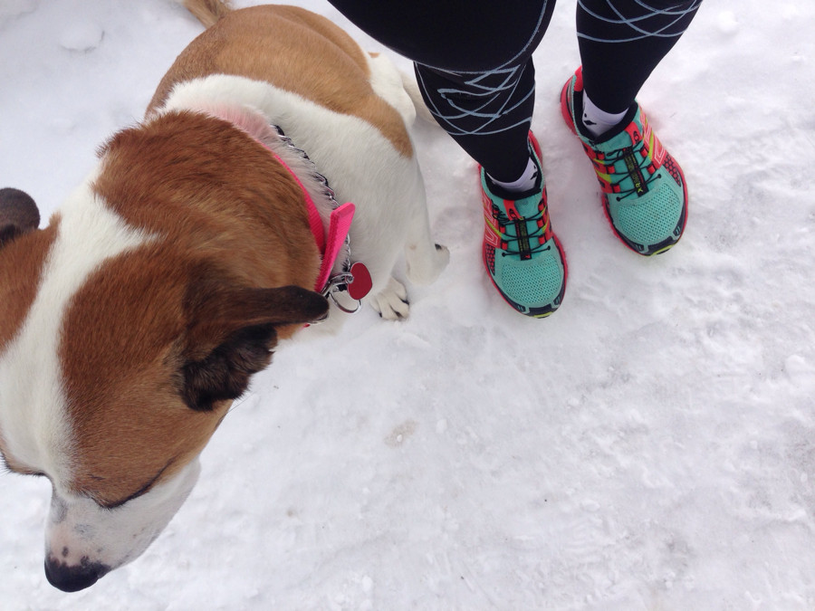 salomon xr mission trail running shoes