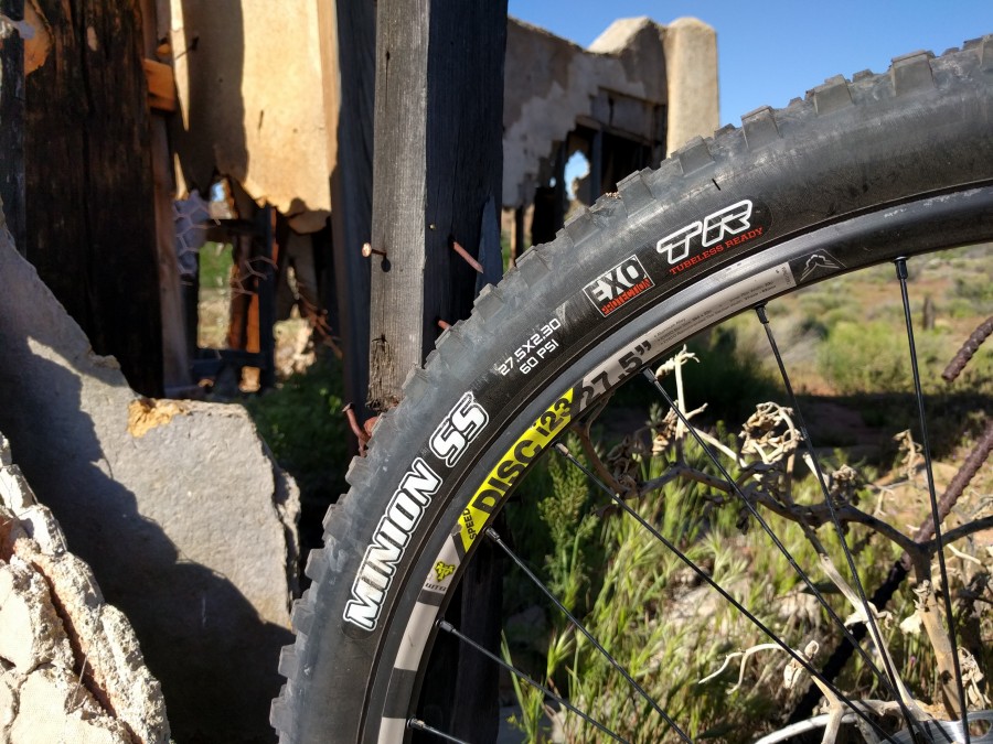 minion mtb tires