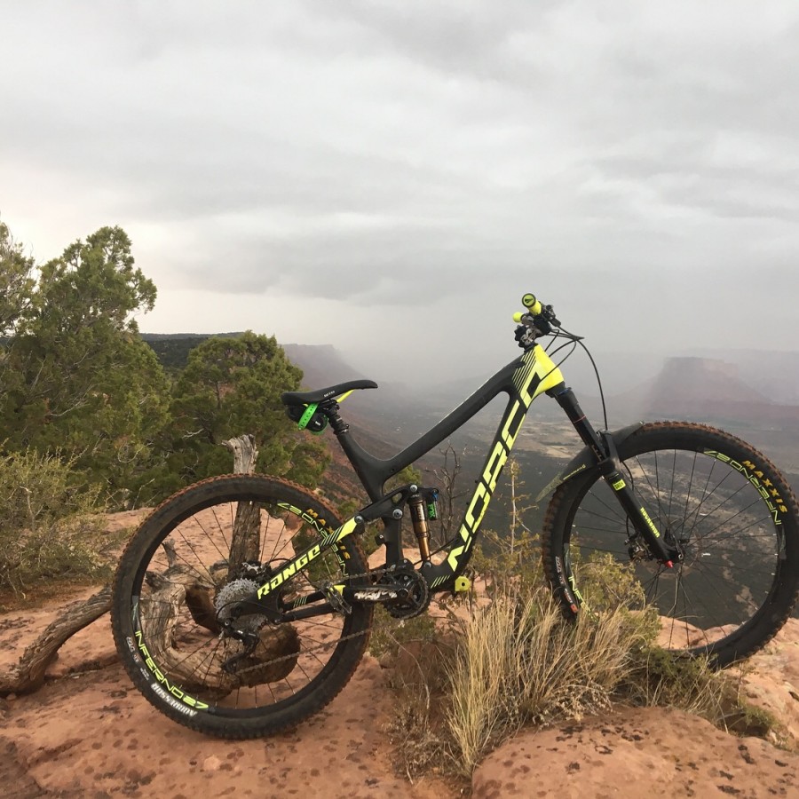 blackburn barrier mudguard