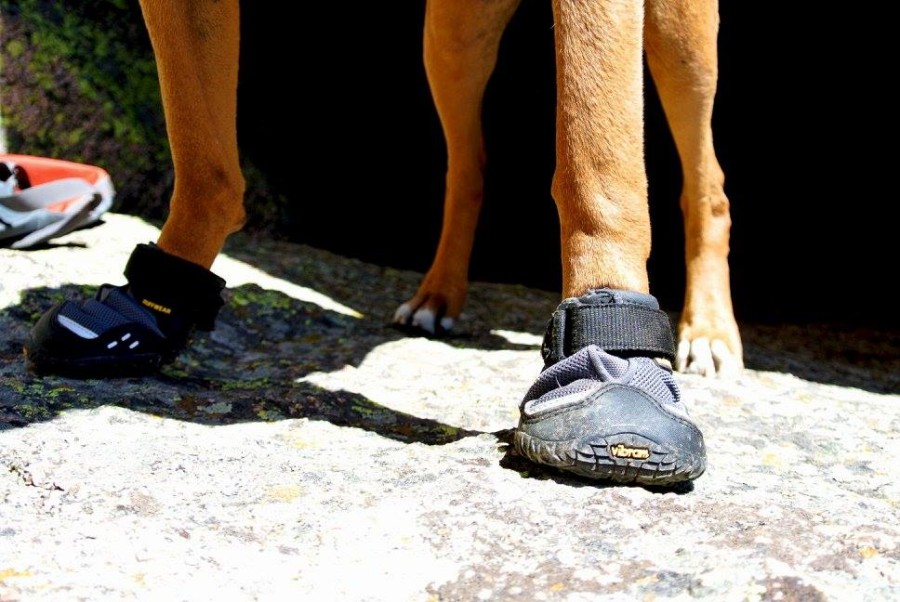 Ruffwear Bark'n Boots Grip Trex Set of 4