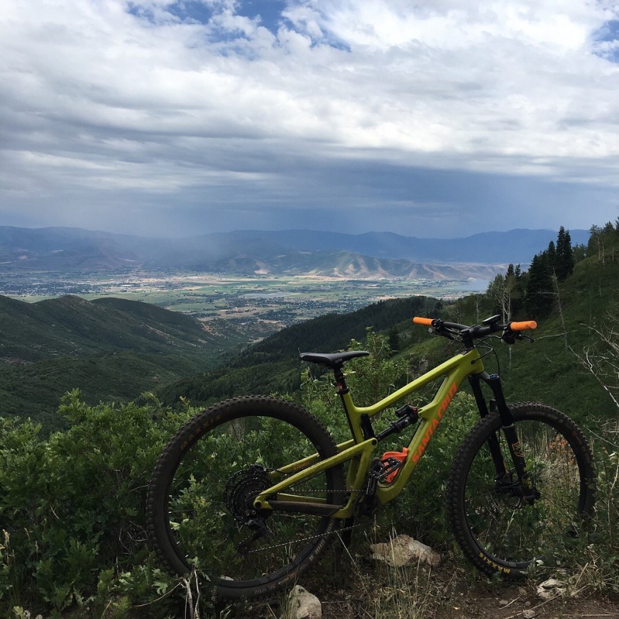 santa cruz bicycles custom downtube decal