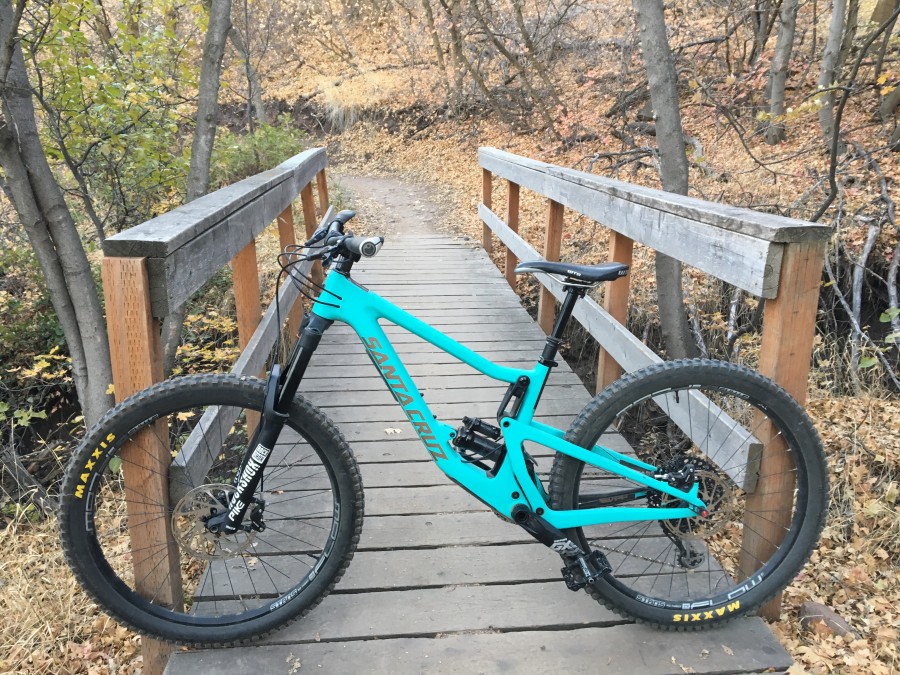santa cruz bronson industry blue