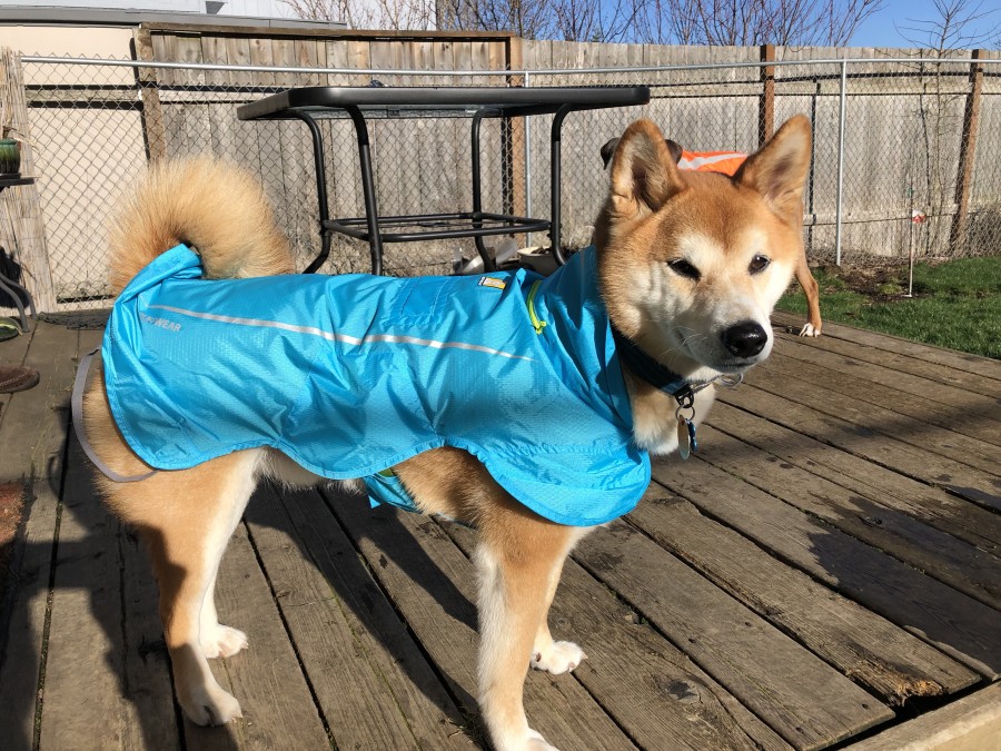 Ruffwear wind sprinter clearance