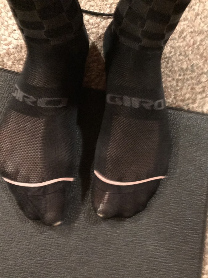 black ace gucci sneakers