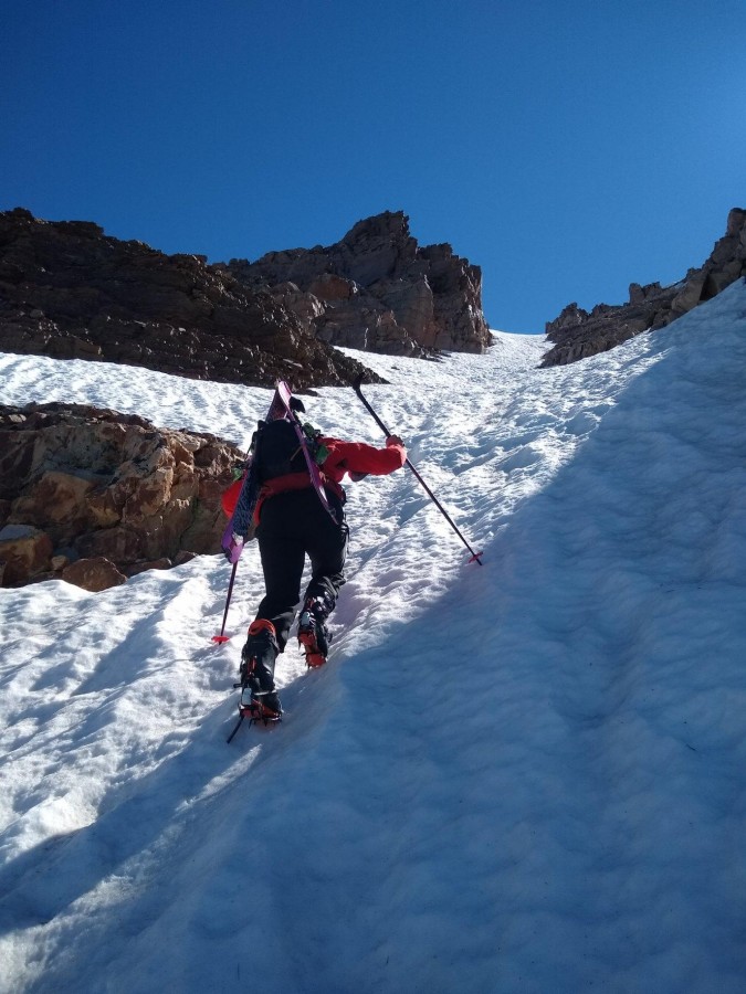 Patagonia Simul Alpine Softshell Pant Men's