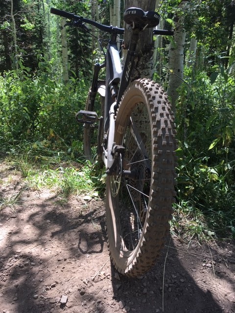 Wtb Vigilante Tcs Tritec Tire 27 5in Backcountry Com