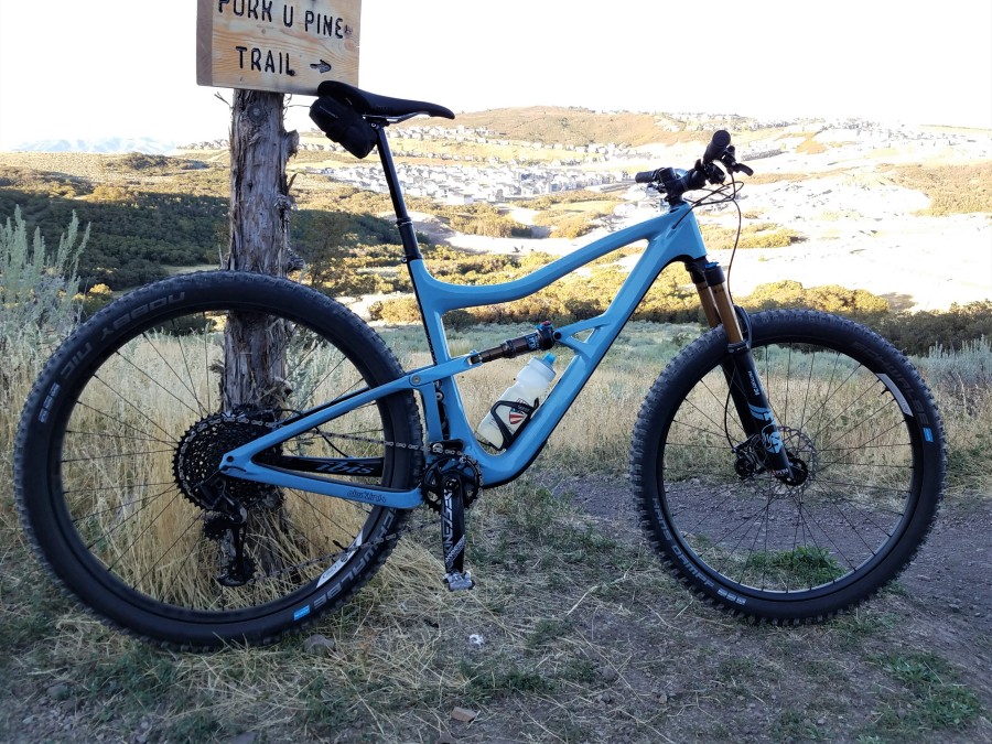 ibis ripley xl
