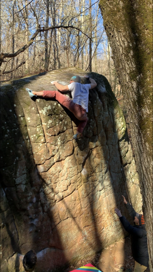 tenaya mastia sizing