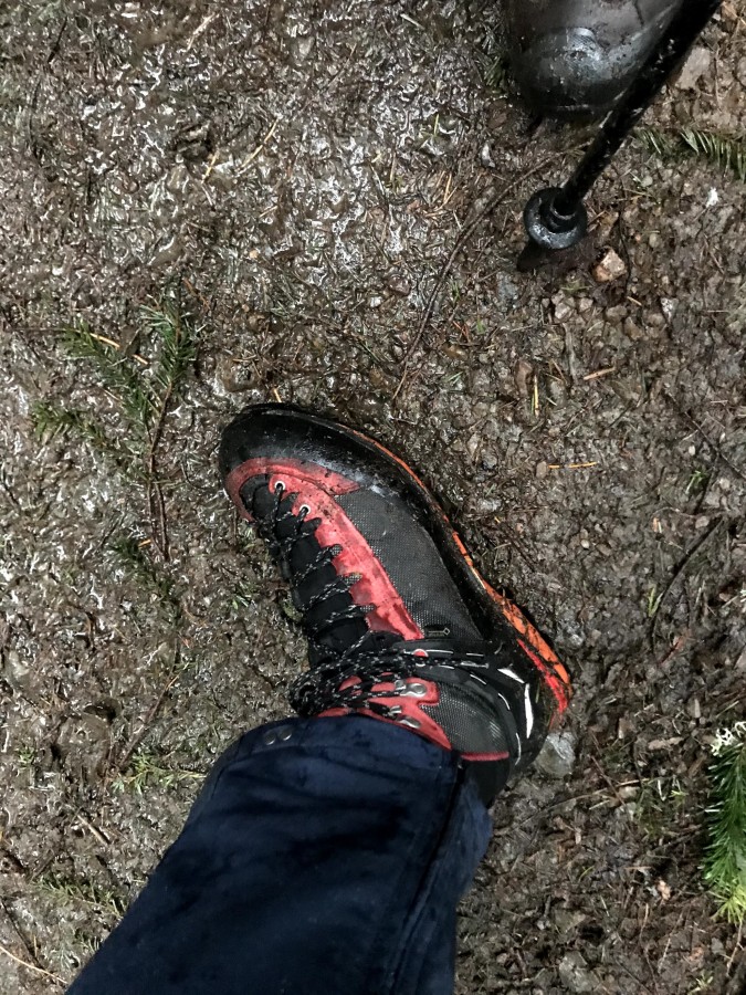 Crow gtx salewa clearance