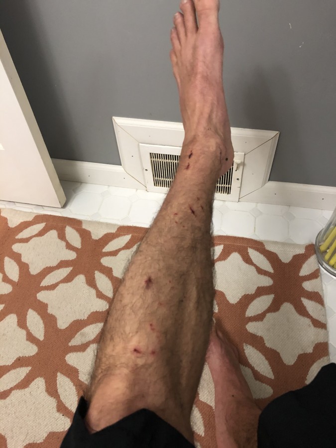 race face aeffect flat pedals